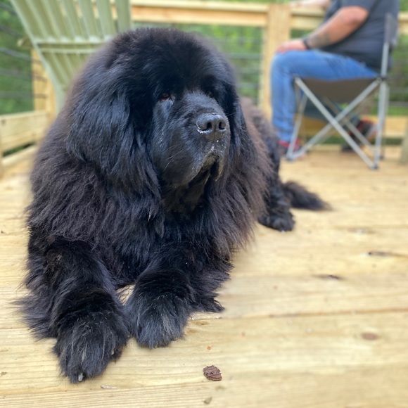 hiii! welcome to my closet! ;) - Picture 4 of 4